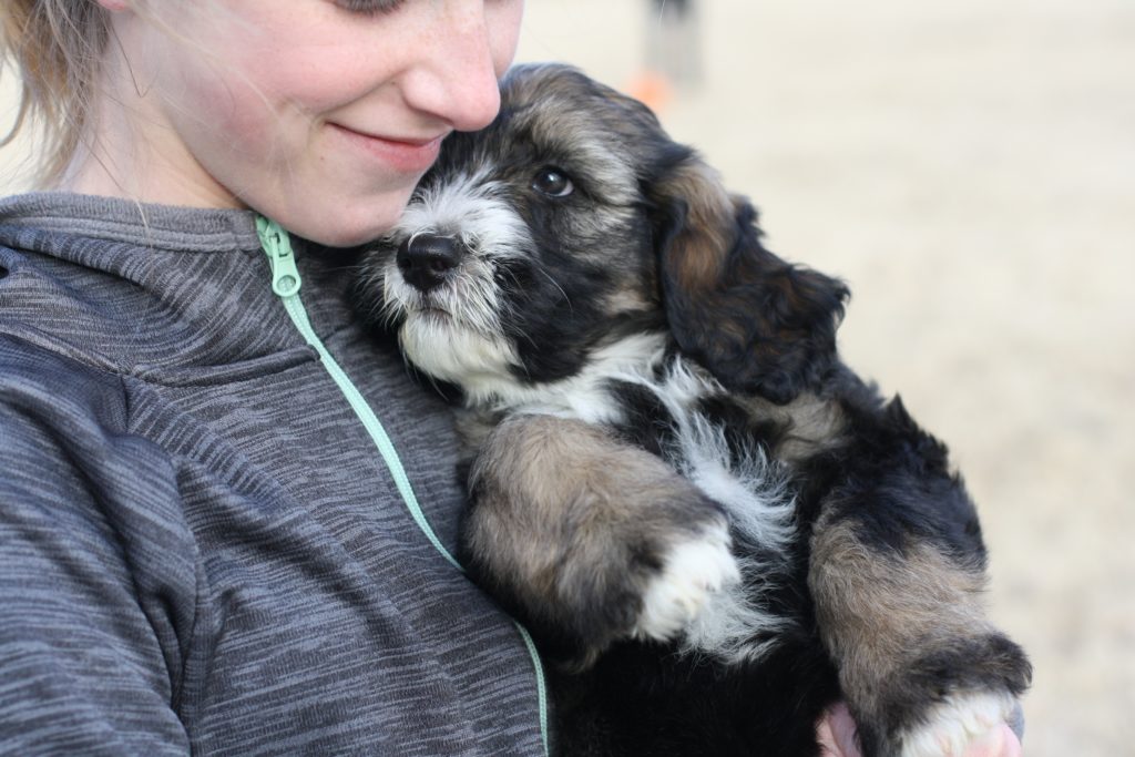 girl hugging a puppy
