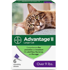 Advantage II cat flea treatment and prevention
