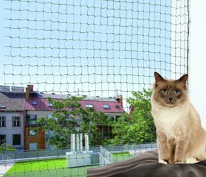 Cat Safety Net