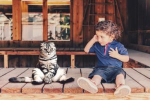 best cat breeds for children and babies