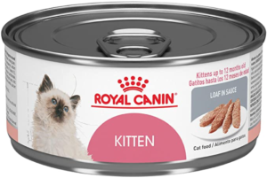 Royal Canin Kitten Wet Cat Food