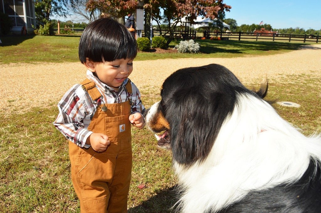 child toddler meeting a dog